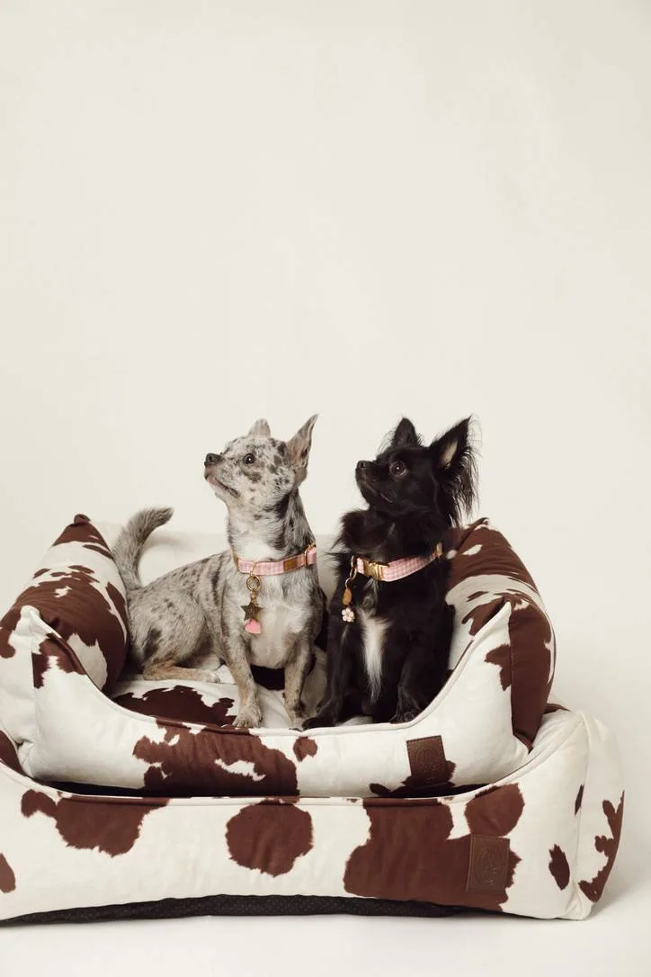 Two small dogs on the Moo bed by Oliva, wearing pink Vichy collars
