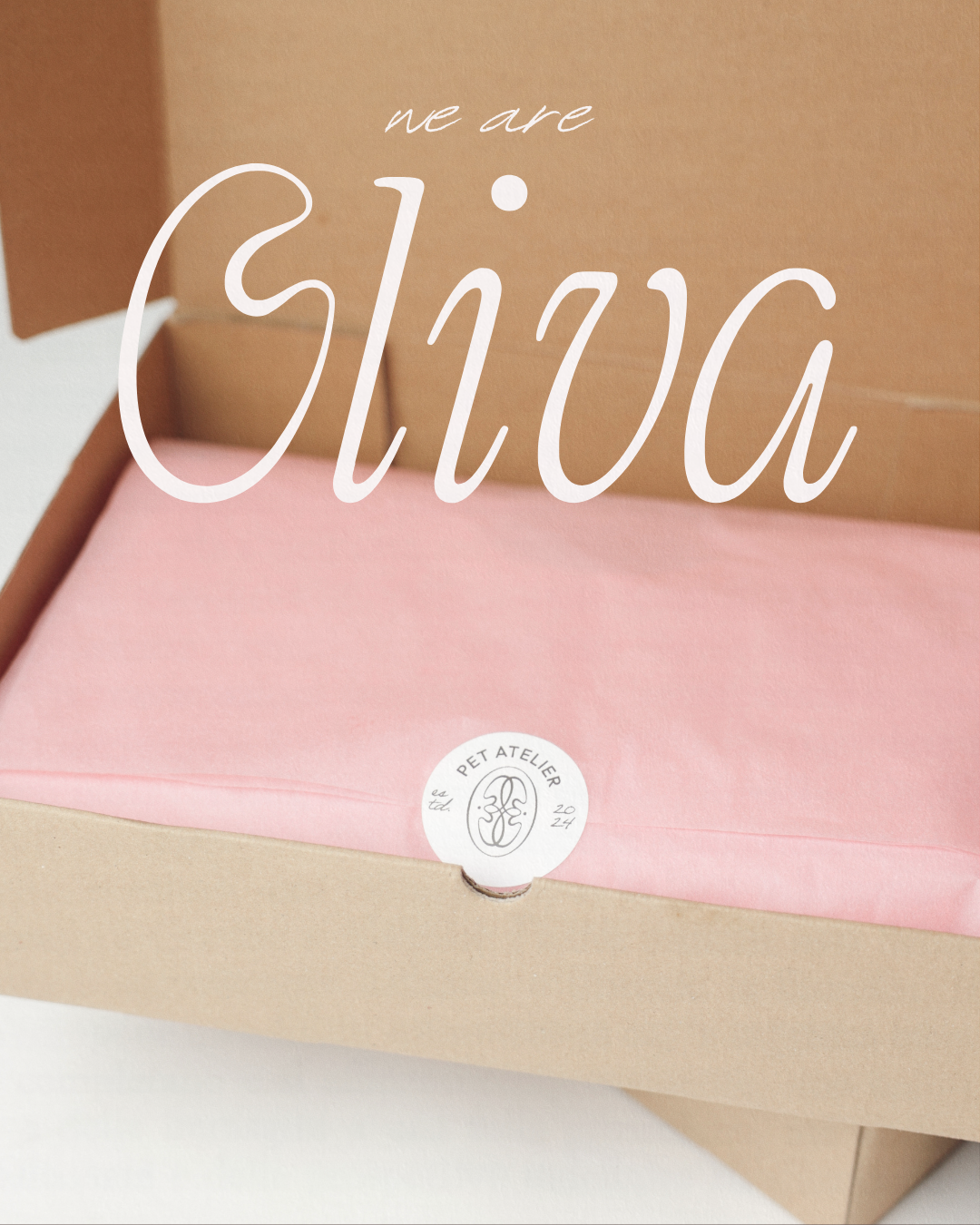 Branded Oliva Pet Atelier packaging with pink tissue paper and logo sticker inside a cardboard box.