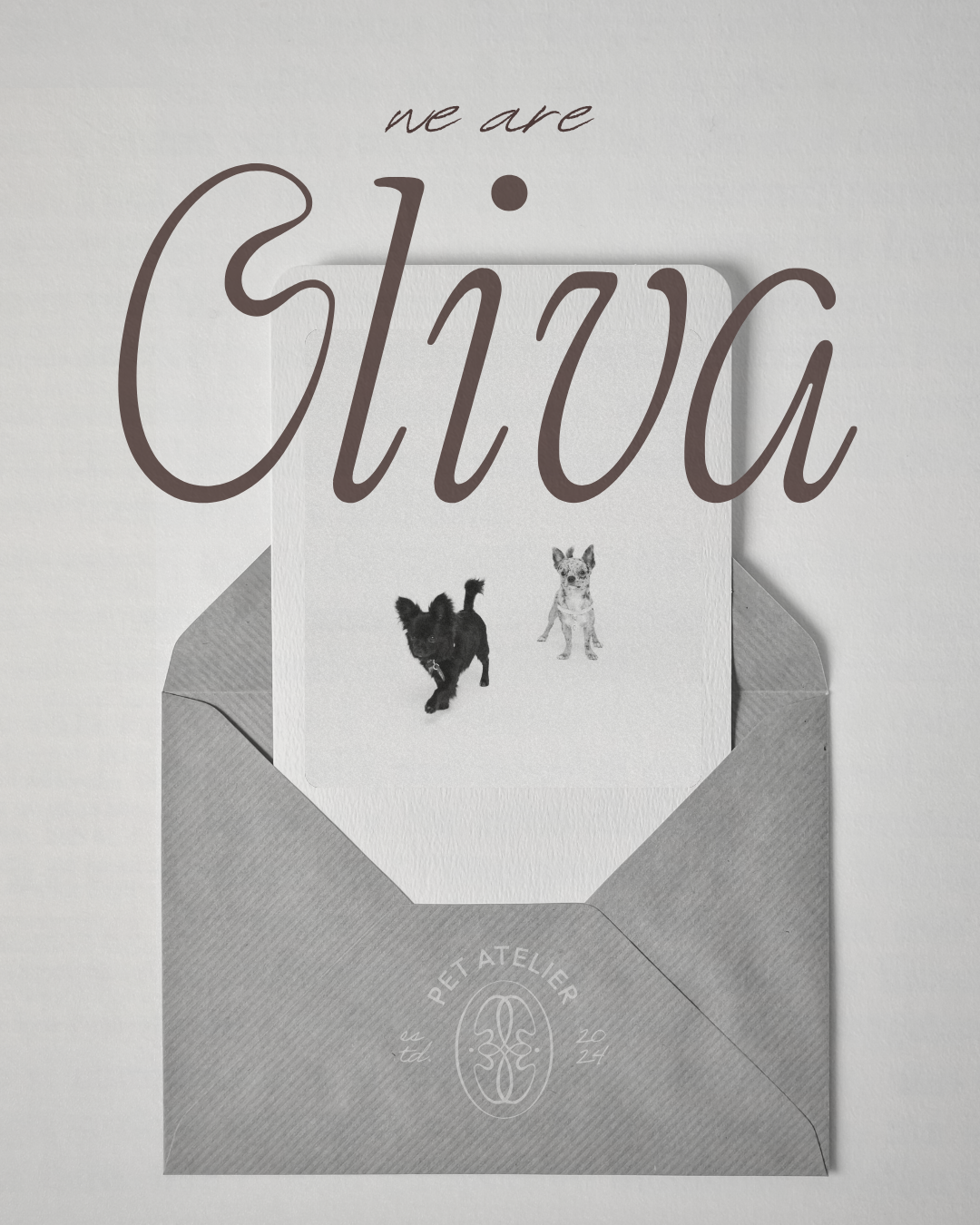 Oliva Pet Atelier thank-you card inside a grey envelope with brand logo and elegant packaging.