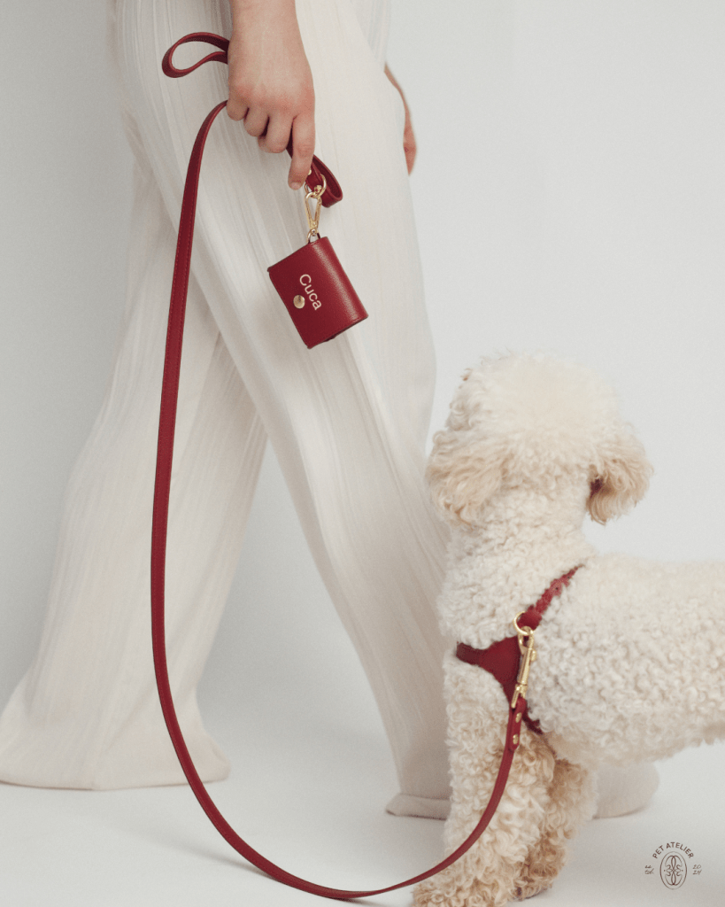 Small dog wearing a red wine harness with matching leash and personalized poop bag holder