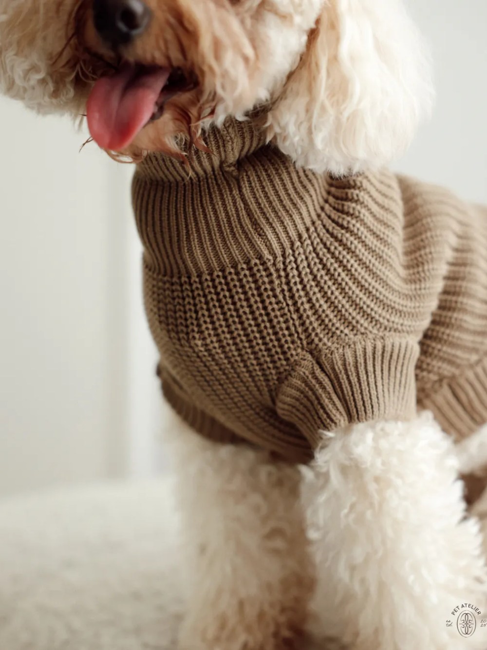 small dog wearing brown winter sweater – Oliva Pet Atelier