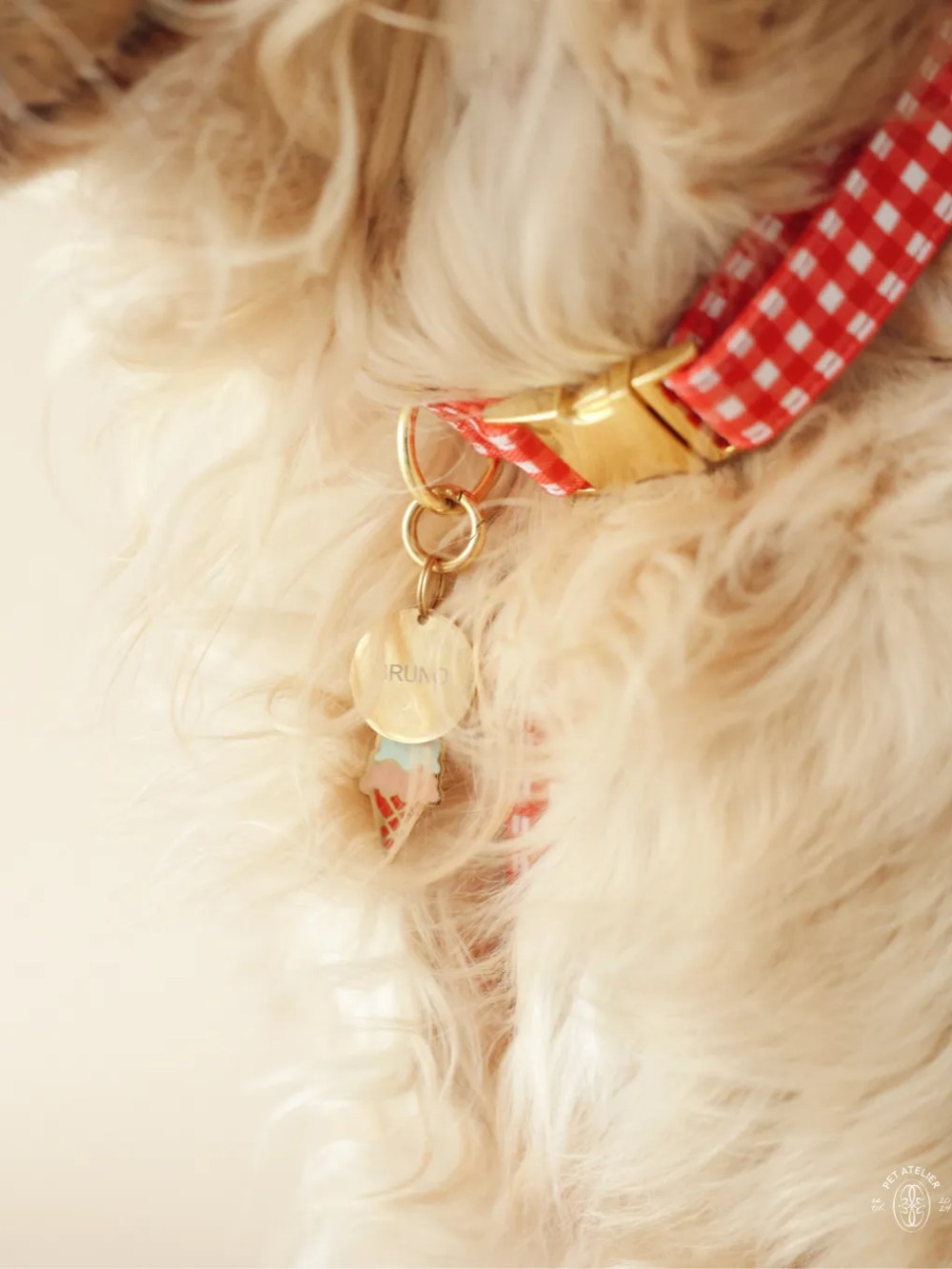 Detalle de collar Vichy rojo para perro con charm personalizado y acabado dorado Oliva Pet Atelier