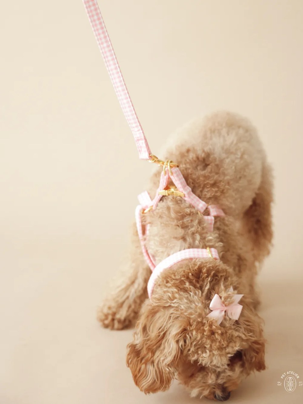 Small dog with adjustable Vichy pink leash walking Oliva Pet Atelier
