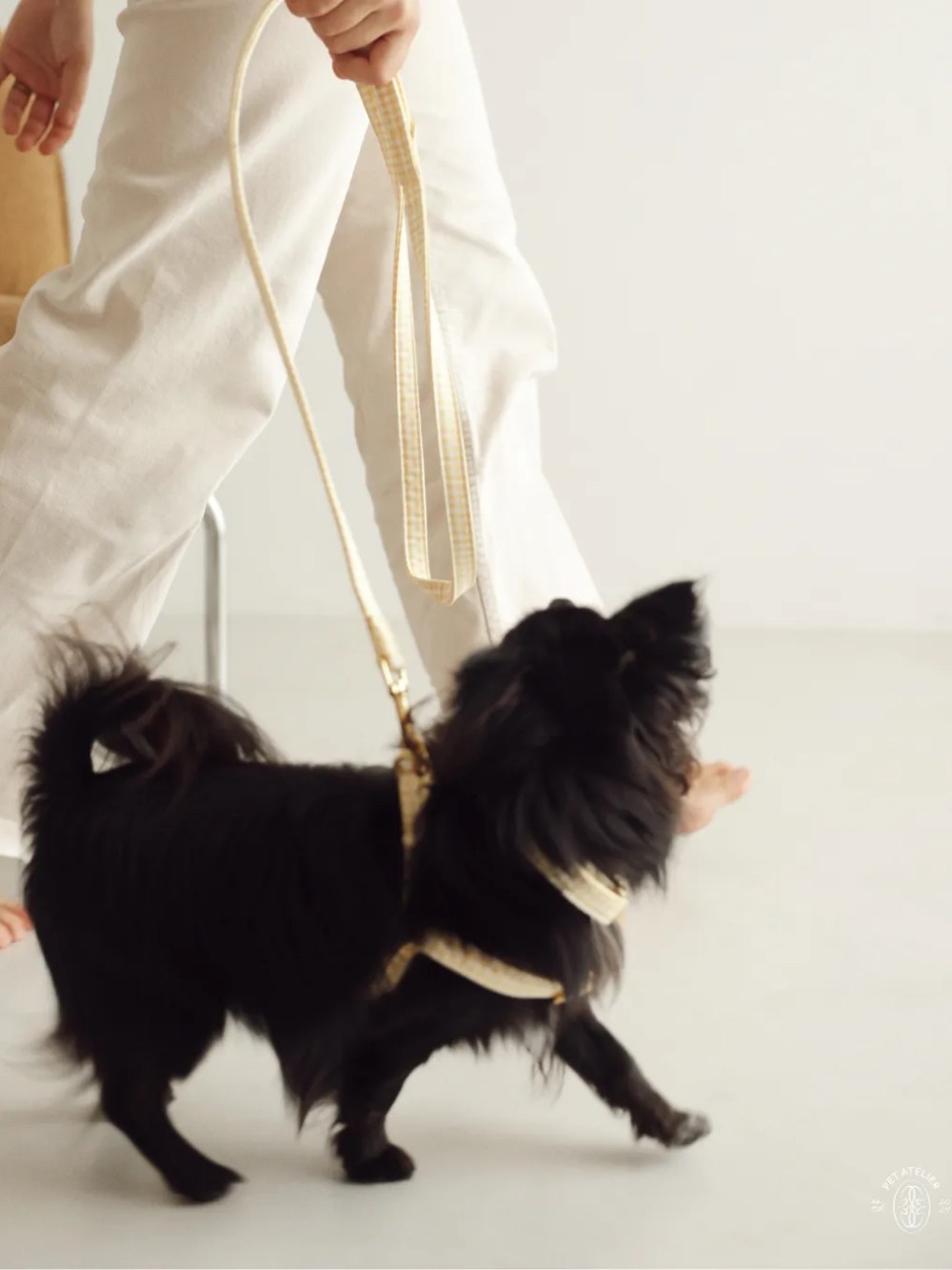 correa vichy amarilla para perro pequeño en paseo