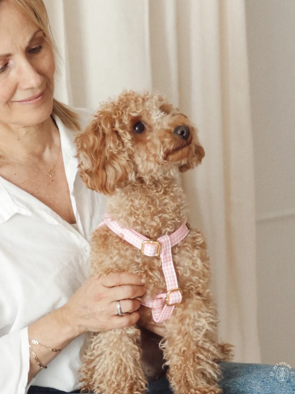 arnés vichy rosa para perro pequeño elegante en interior