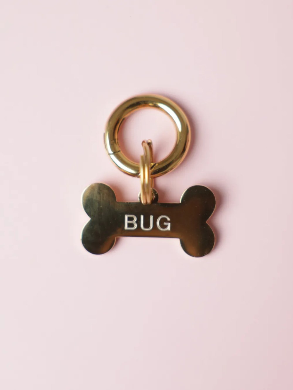 Placa personalizada para perro en forma de hueso pequeño con nombre grabado