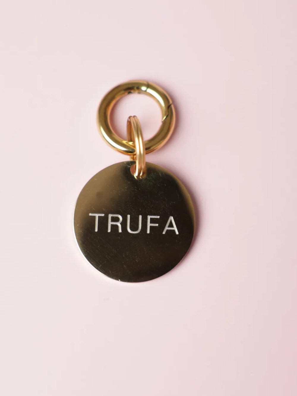 Placa personalizada para perro en forma de círculo con nombre grabado