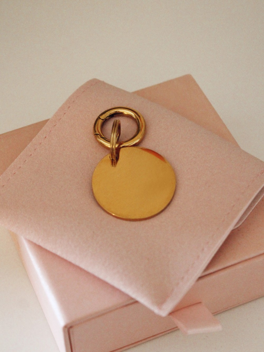 Personalized Large Round Dog ID Tag