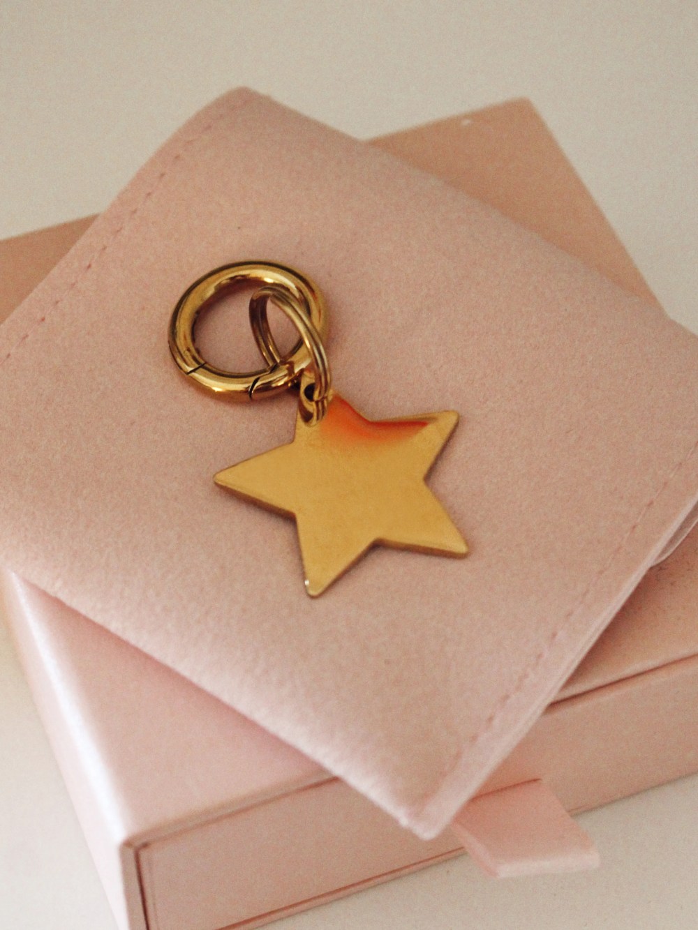 Personalized Star Dog ID Tag