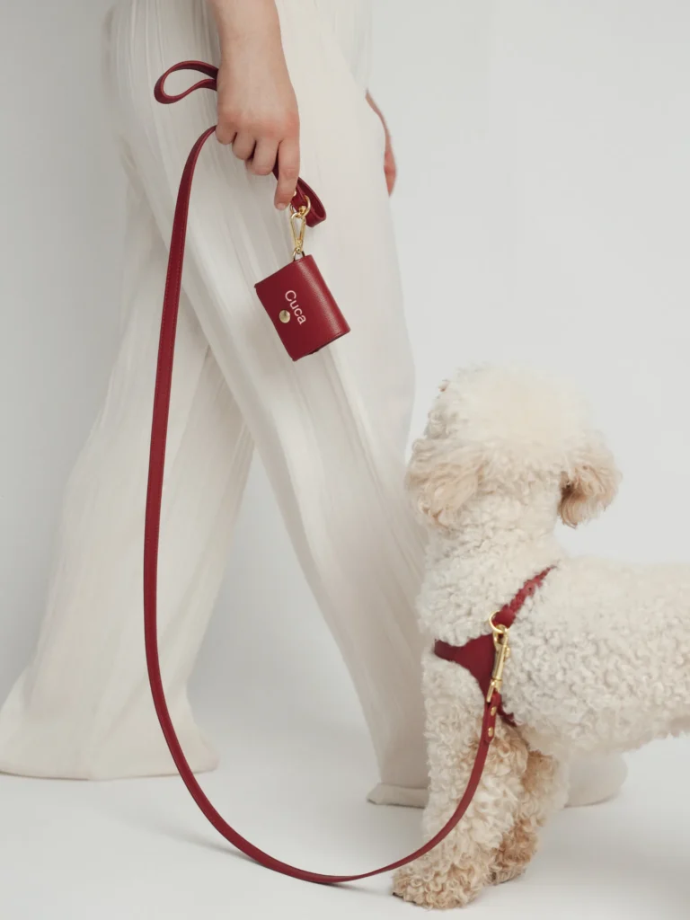 Dog walking with the burgundy personalised harness, matching lead and bag holder