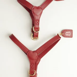 Two burgundy personalised dog harnesses with initial tags