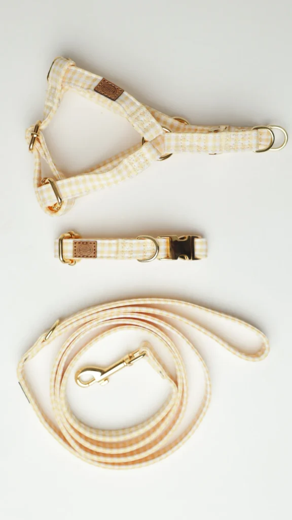 Yellow Vichy gingham dog harness with matching collar and lead