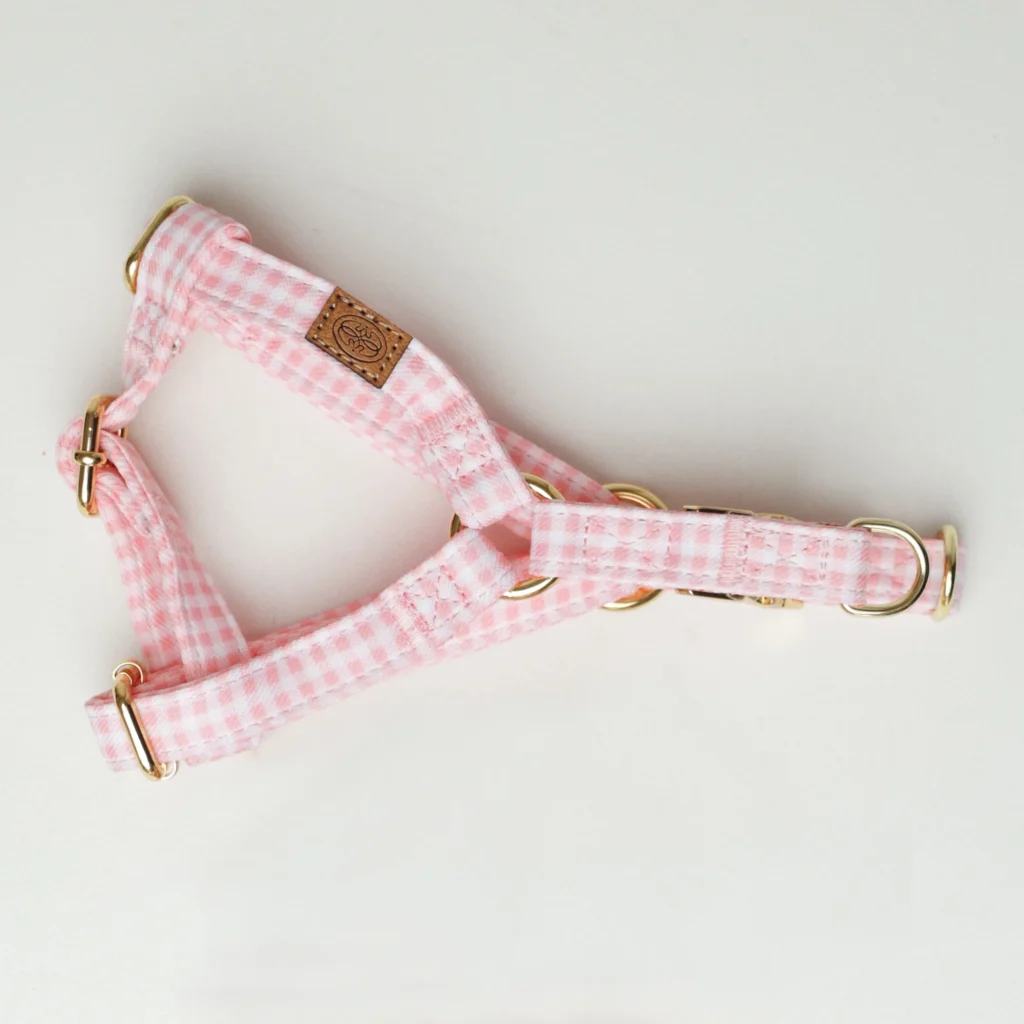 Pink Vichy gingham dog harness with gold-tone hardware
