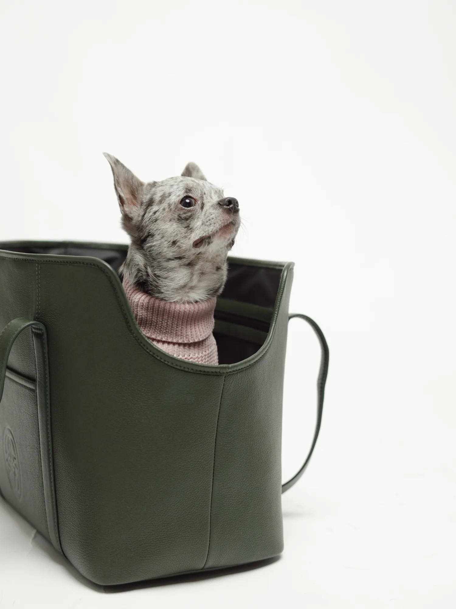 Small spotted dog in a pink knit jumper peeking out of the Dark Green leather dog carrier bag
