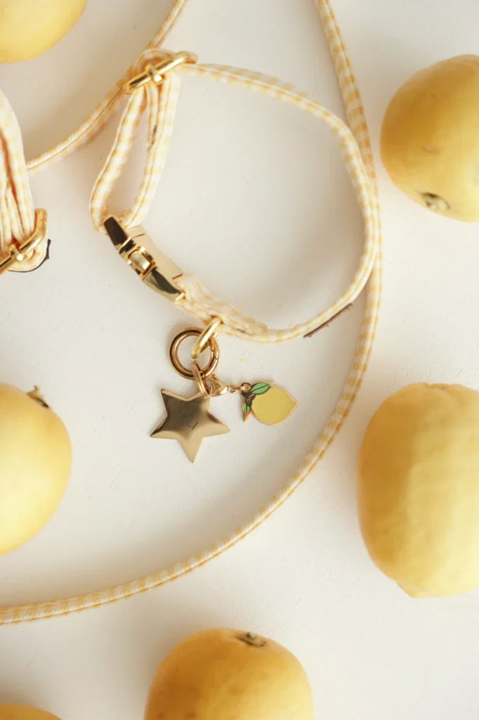 Charm de limón y placa dorada de estrella grabada con láser en el conjunto Vichy amarillo, entre limones