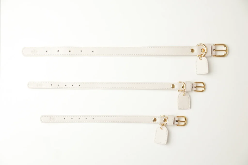 Collares personalizados para perro blancos en las tallas XS, S y M