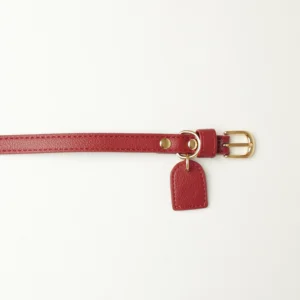 Burgundy personalised dog collar with a gold-tone buckle and leather tag