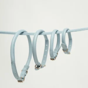 The four sizes of the Sky Blue round leather dog collar, XS to L