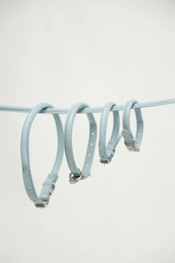 The four sizes of the Sky Blue round leather dog collar, XS to L