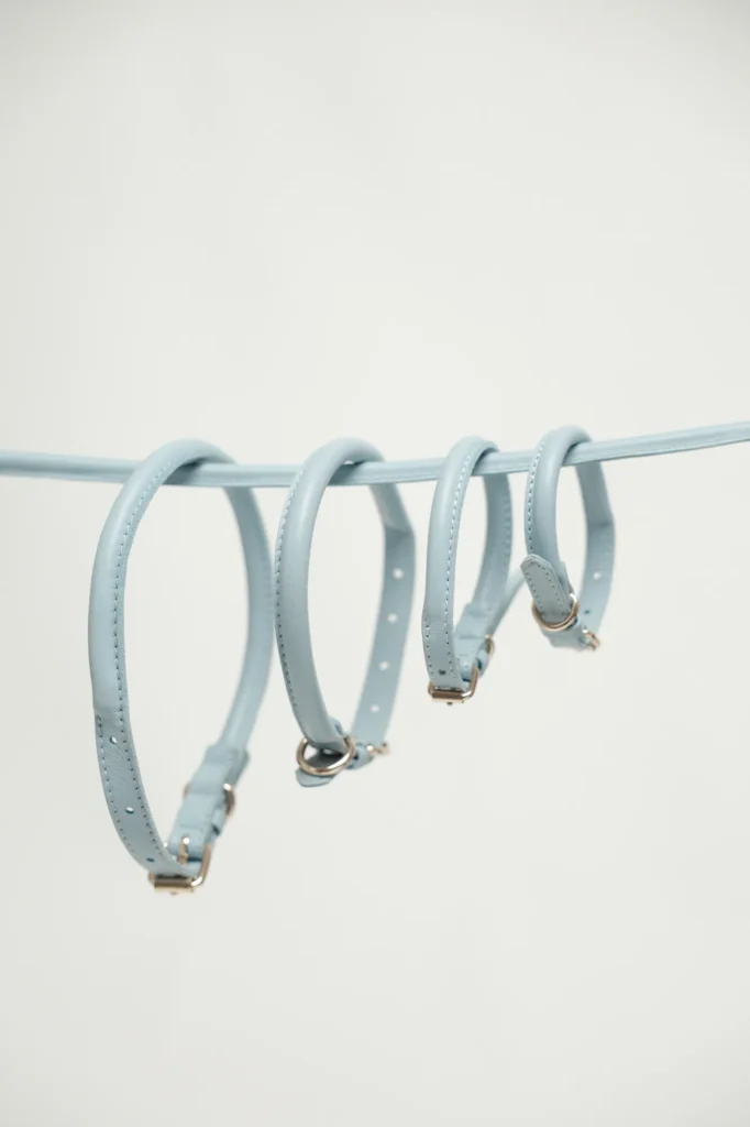 The four sizes of the Sky Blue round leather dog collar, XS to L