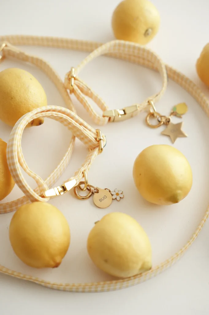 Yellow Vichy gingham collars and lead with gold charms among lemons