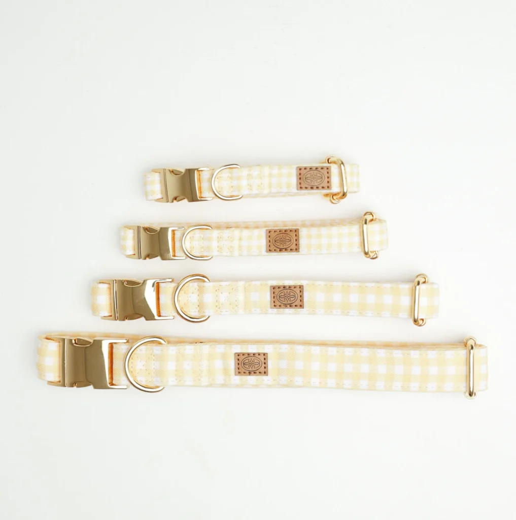 Yellow Vichy gingham dog collars in four sizes, from XS to L