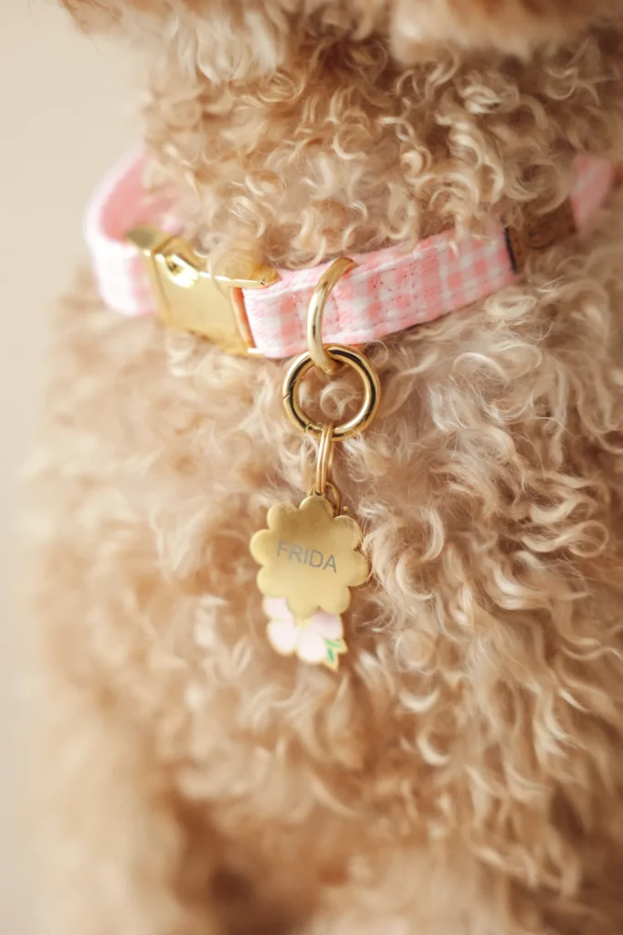 Close-up of the pink Vichy collar with its gold-tone buckle and name tag