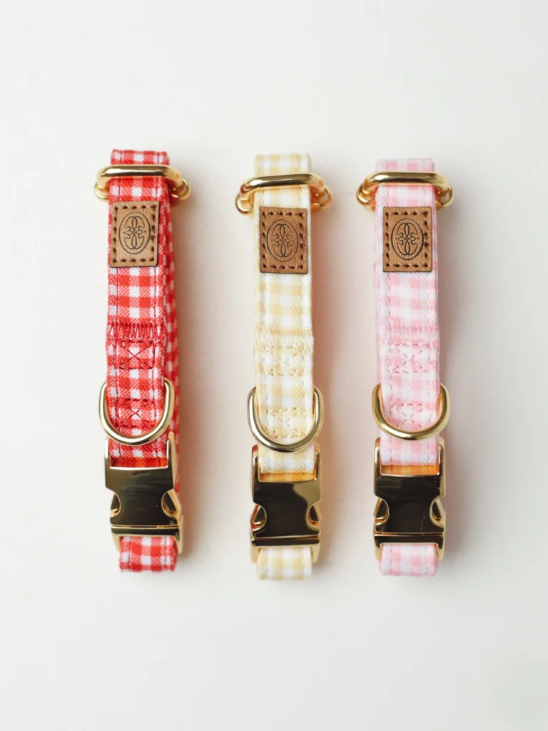 Vichy gingham dog collars in red, yellow and pink with gold-tone buckles