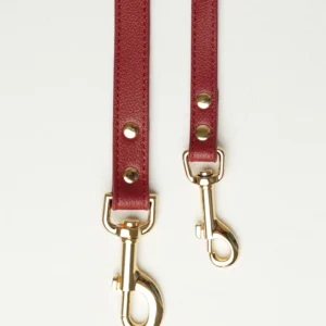 Burgundy vegan-leather dog leashes in sizes S and M with gold-tone clasps