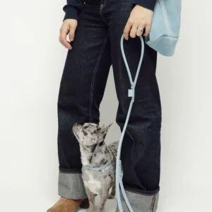 Walking a small dog with the Sky Blue round leather leash and collar