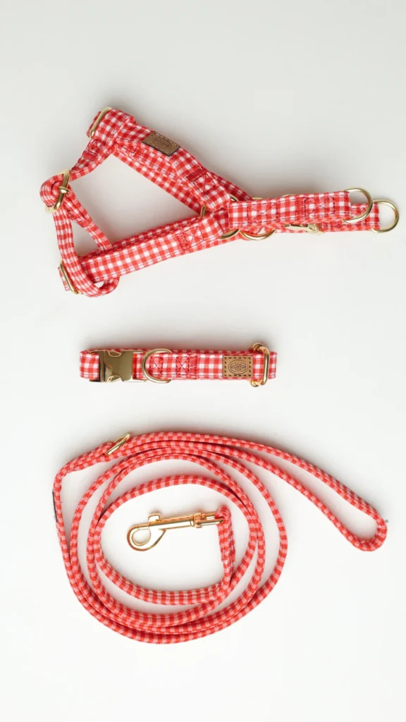 Conjunto de arnés, collar y correa para perro Vichy rojo
