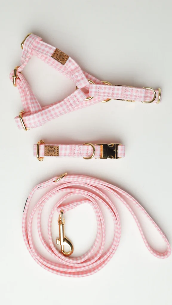 Pink Vichy gingham dog harness, collar and leash set
