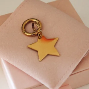Placa identificativa dorada para perro en forma de estrella, personalizada y grabada con láser, con anilla dorada sobre una funda rosa palo