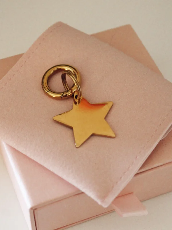 Gold personalized laser-engraved dog ID tag in a five-point star shape with a gold-tone ring on a pale pink pouch