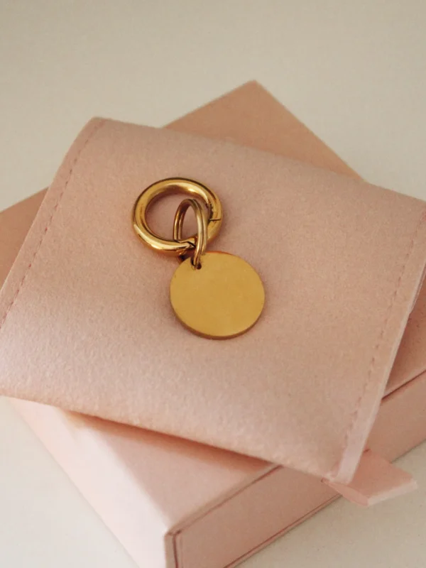 Small round gold personalized laser-engraved dog ID tag with a gold-tone ring on a pale pink pouch