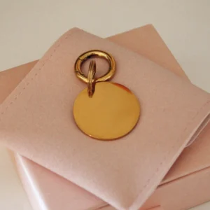 Placa identificativa redonda dorada para perro, personalizada y grabada con láser, con anilla dorada sobre una funda rosa palo